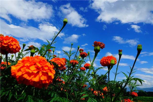 騰沖徒步路線馬拉松賽道 騰沖徒步路線馬拉松賽道