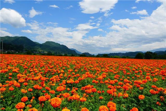 騰沖徒步路線馬拉松賽道 騰沖徒步路線馬拉松賽道