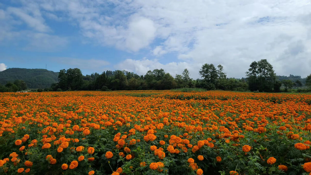 騰沖徒步路線馬拉松賽道 騰沖徒步路線馬拉松賽道