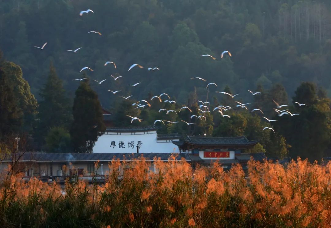 騰沖旅游 騰沖旅游