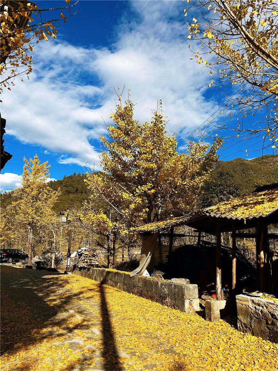 騰沖旅游 騰沖旅游