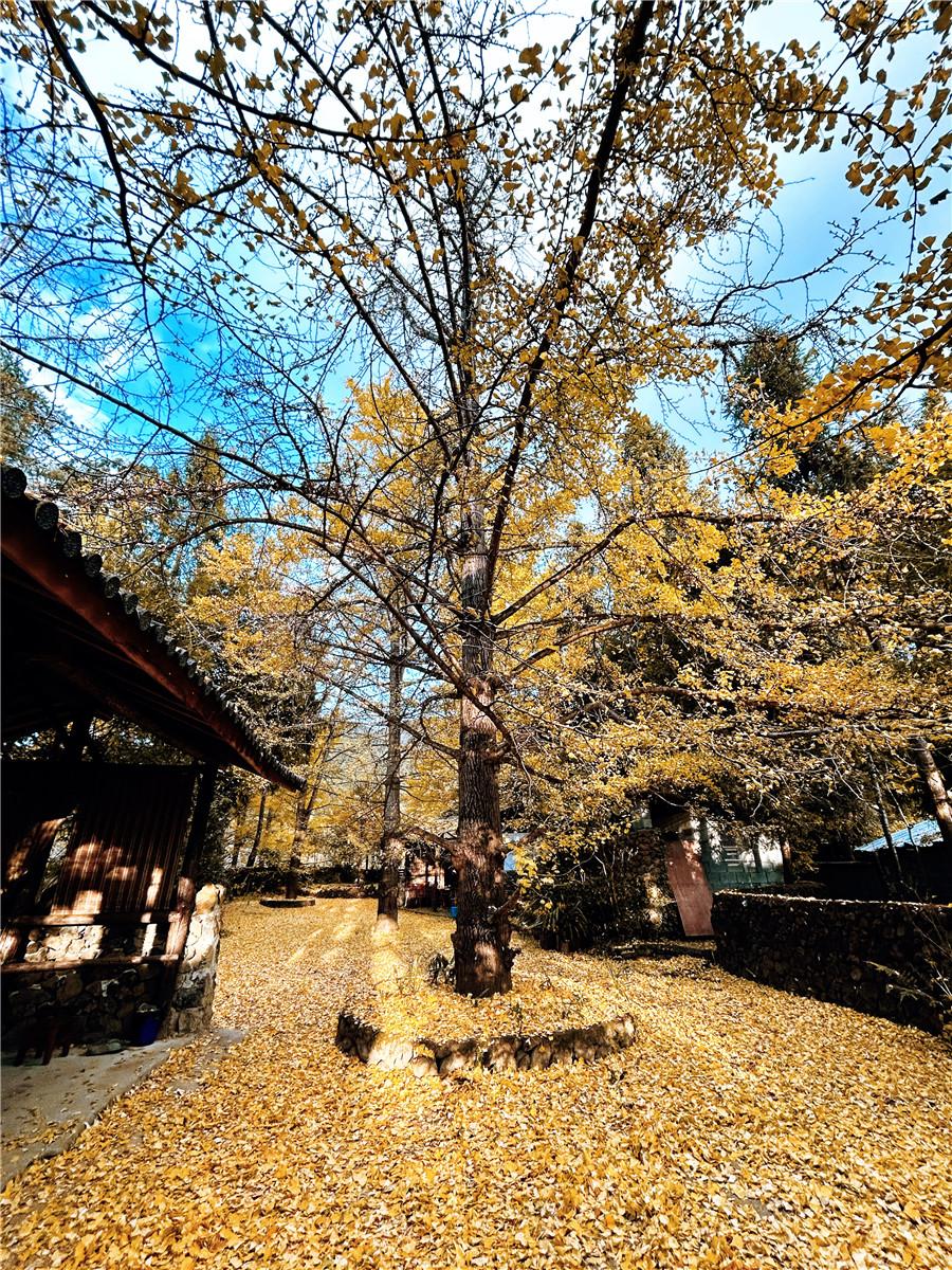 騰沖旅游 騰沖旅游