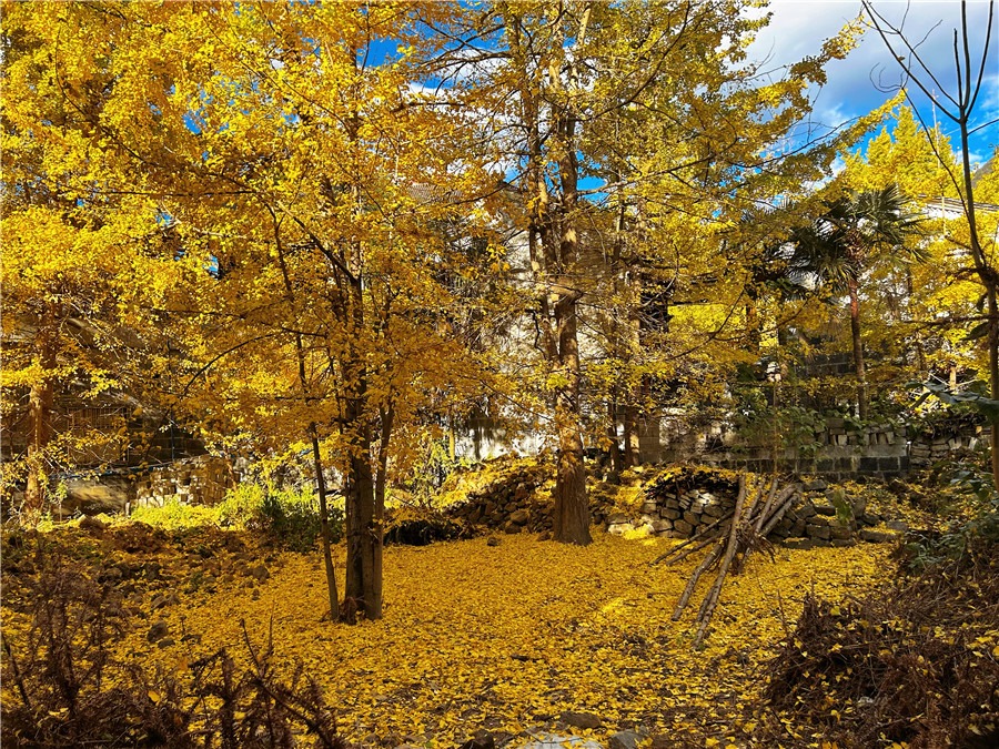 騰沖旅游 騰沖旅游