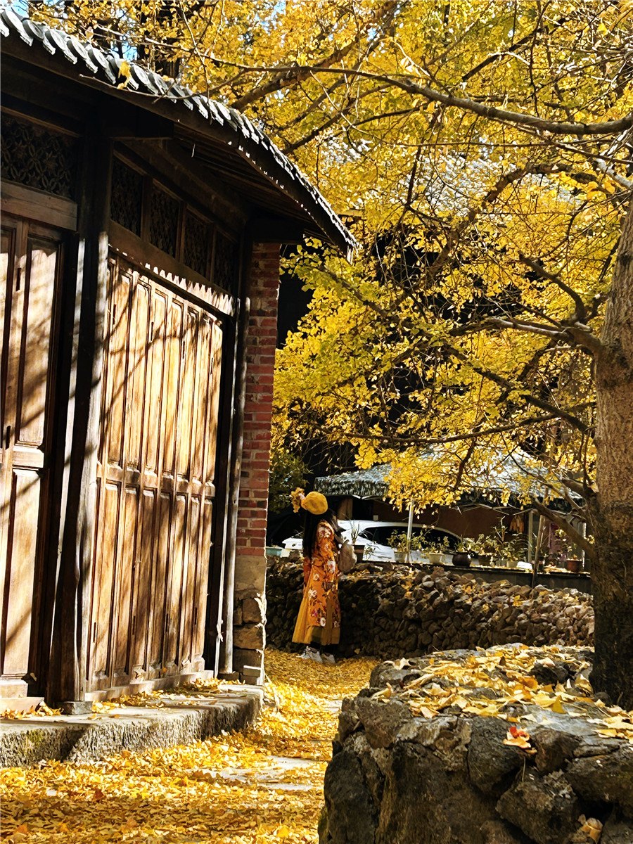 騰沖旅游 騰沖旅游