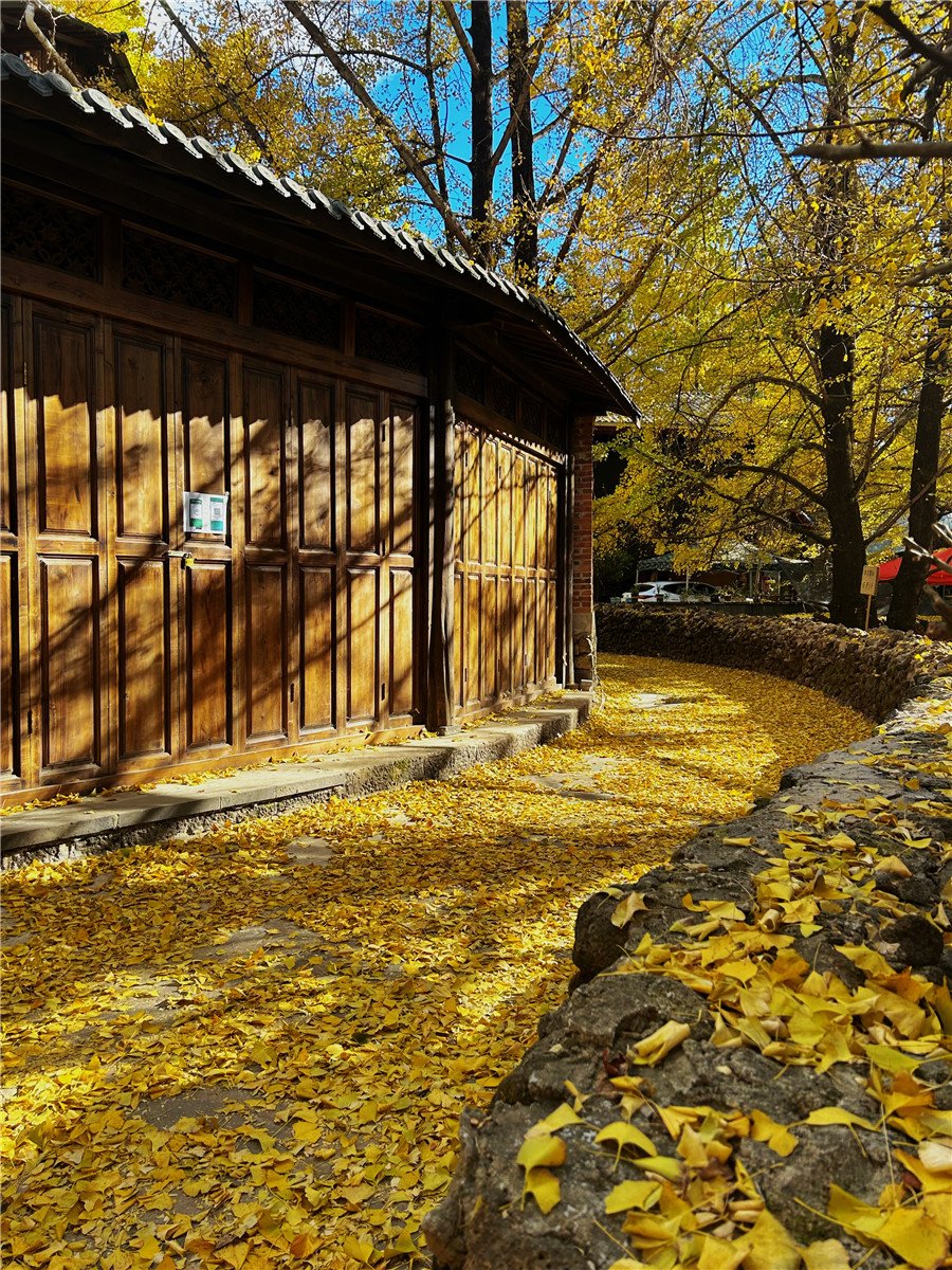 騰沖旅游 騰沖旅游