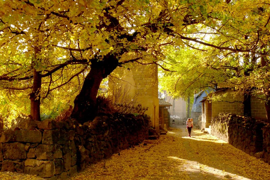 騰沖旅游 騰沖旅游