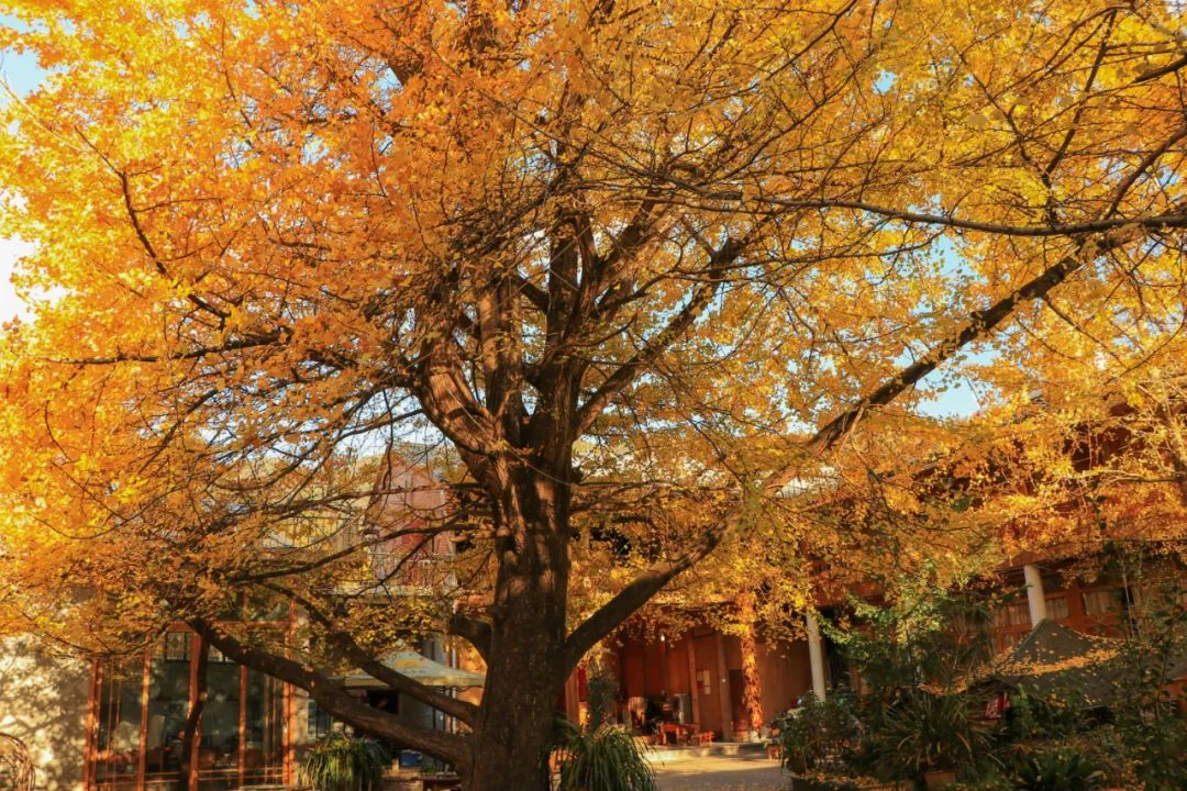 騰沖會議酒店 騰沖會議酒店