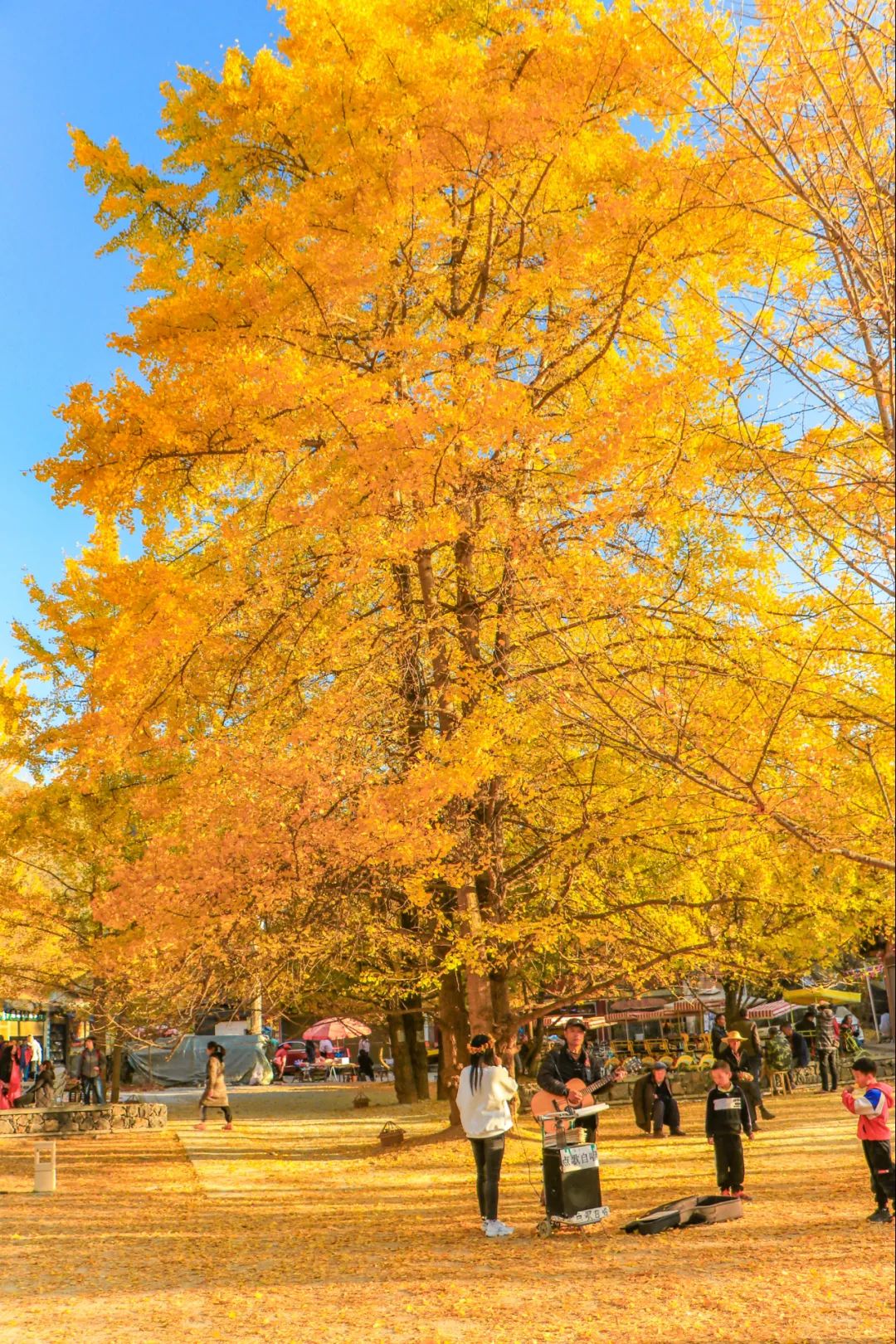 騰沖會議酒店 騰沖會議酒店