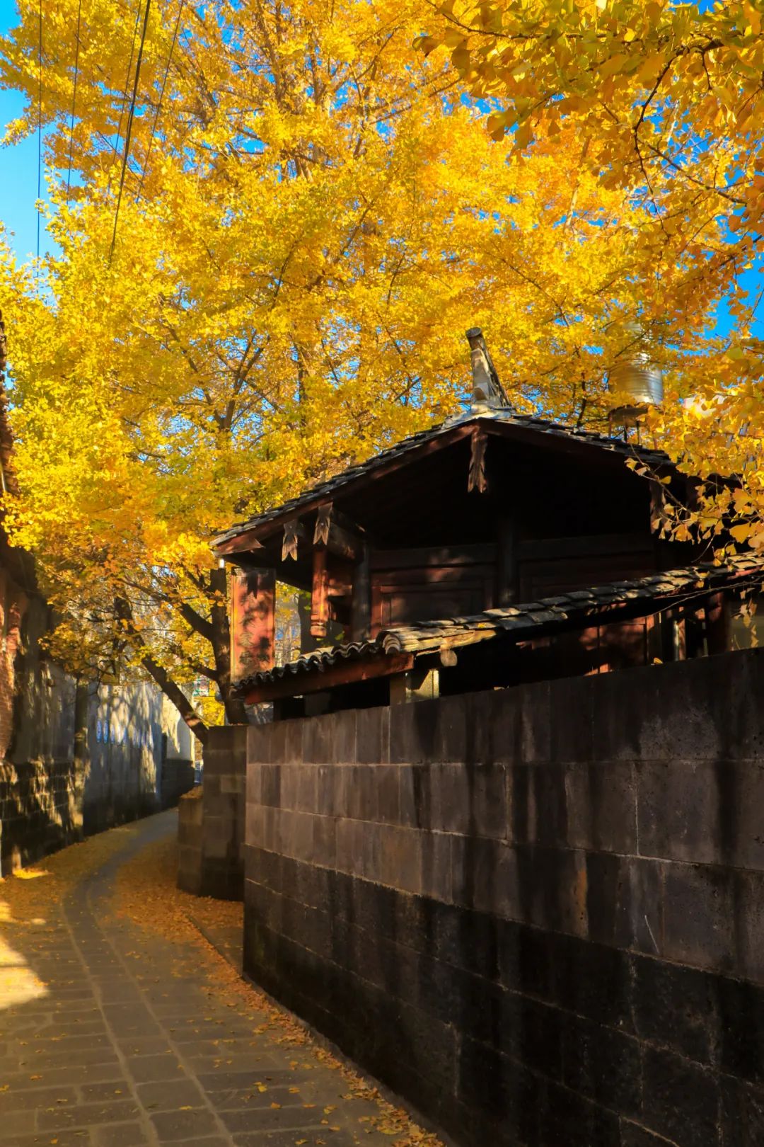 騰沖旅游 騰沖旅游