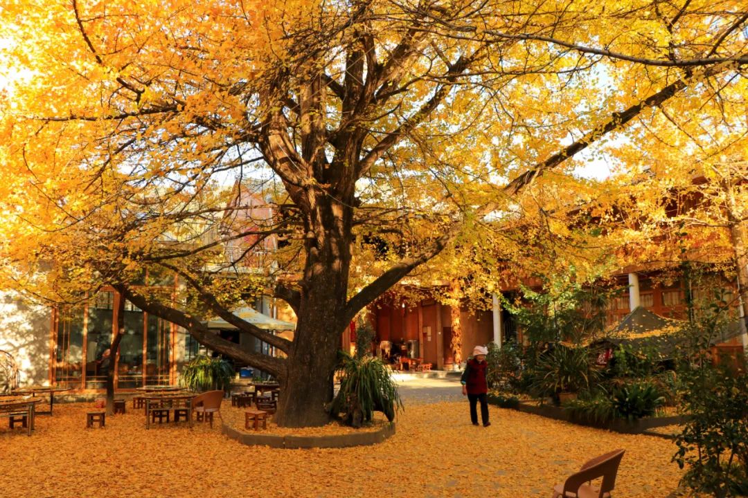 騰沖旅游 騰沖旅游