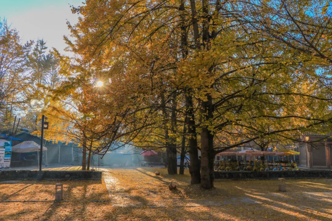 騰沖旅游 騰沖旅游