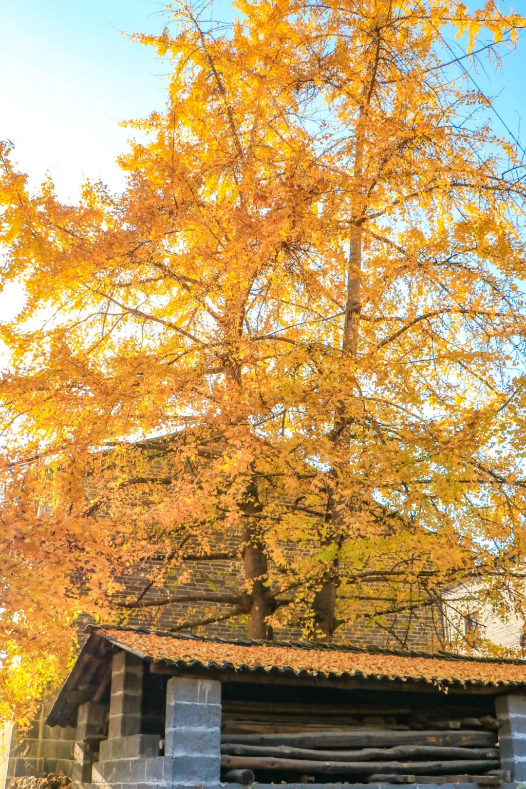 騰沖旅游 騰沖旅游