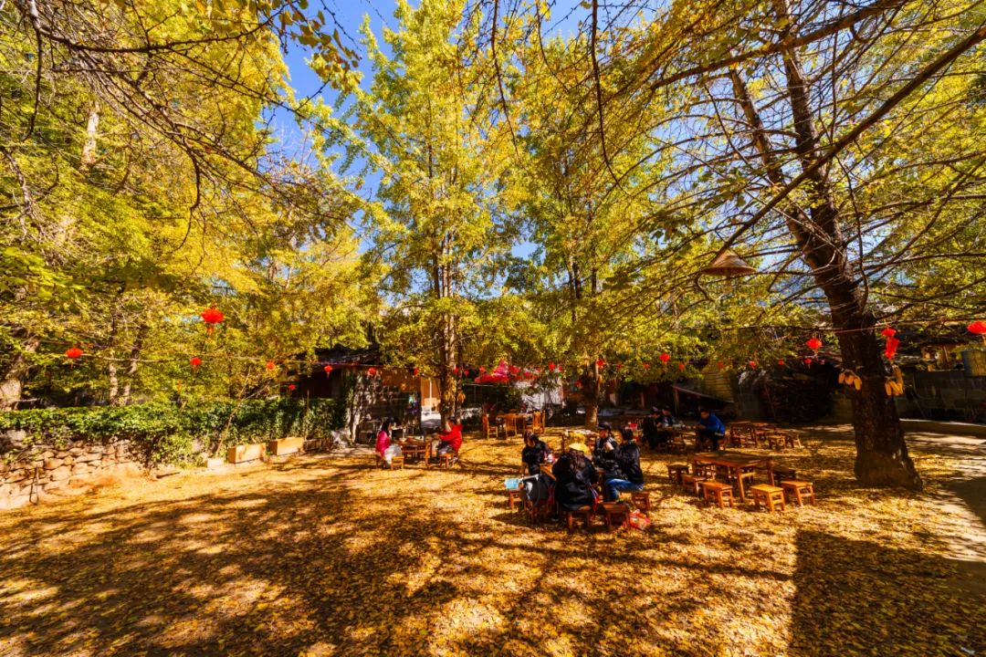 騰沖旅游 騰沖旅游