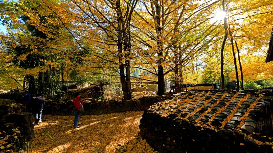 騰沖旅游 騰沖旅游