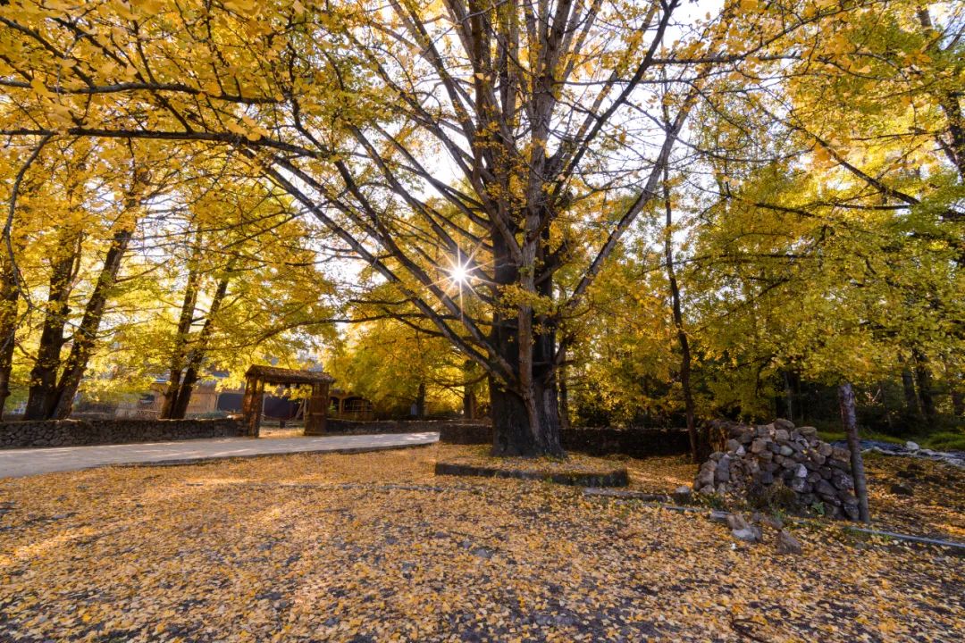 騰沖旅游 騰沖旅游