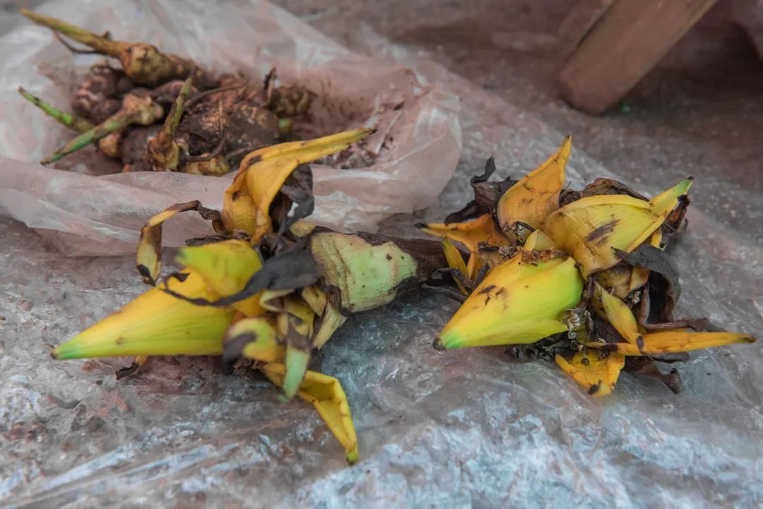 騰沖旅游 騰沖旅游