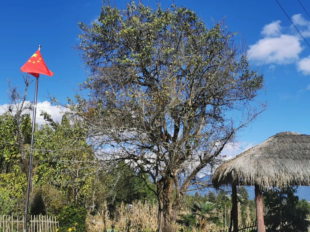 騰沖旅游 騰沖旅游