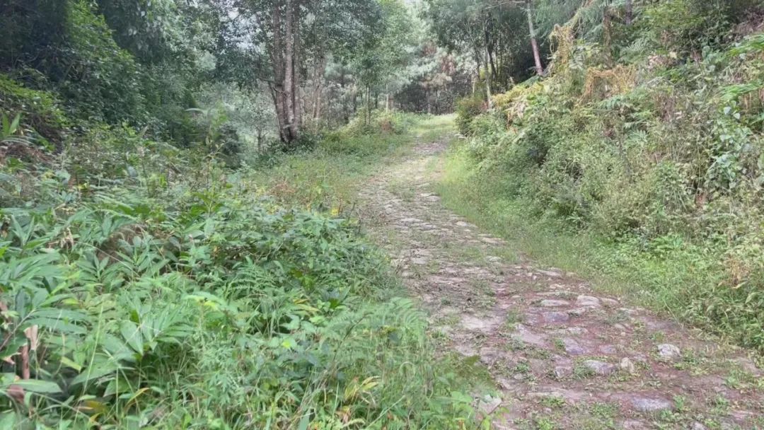 騰沖旅游 騰沖旅游